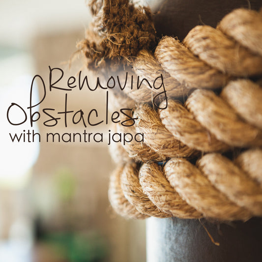 Removing Obstacles with Mantra Japa - Lotus Seed Album